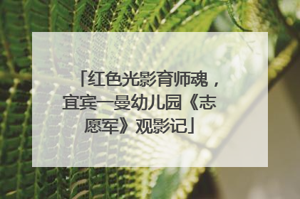 红色光影育师魂，宜宾一曼幼儿园《志愿军》观影记