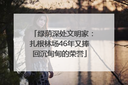绿荫深处文明家：扎根林场46年又捧回沉甸甸的荣誉
