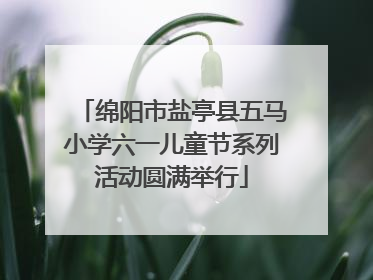 绵阳市盐亭县五马小学六一儿童节系列活动圆满举行