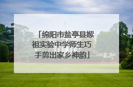 绵阳市盐亭县嫘祖实验中学师生巧手剪出家乡神韵