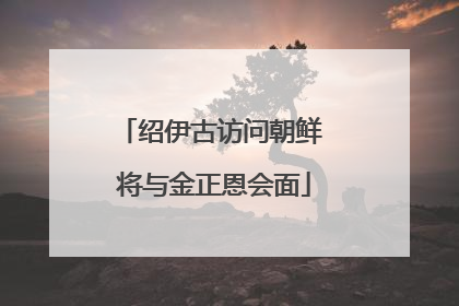 绍伊古访问朝鲜 将与金正恩会面
