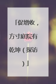 促增收，方寸庭院有乾坤（探访）