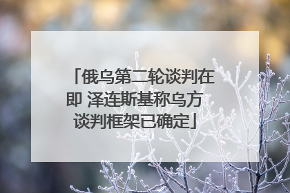 俄乌第二轮谈判在即 泽连斯基称乌方谈判框架已确定