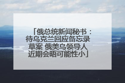 俄总统新闻秘书：待乌克兰回应备忘录草案 俄美乌领导人近期会晤可能性小