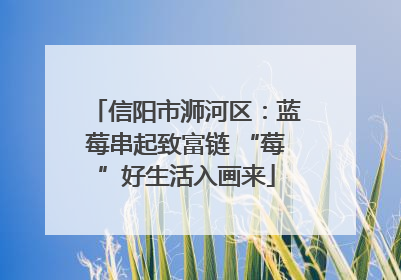 信阳市浉河区：蓝莓串起致富链 “莓”好生活入画来