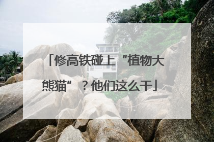 修高铁碰上“植物大熊猫”？他们这么干