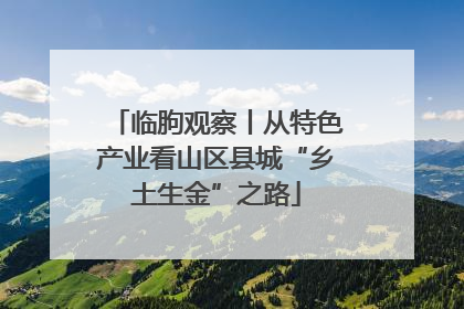 临朐观察丨从特色产业看山区县城“乡土生金”之路