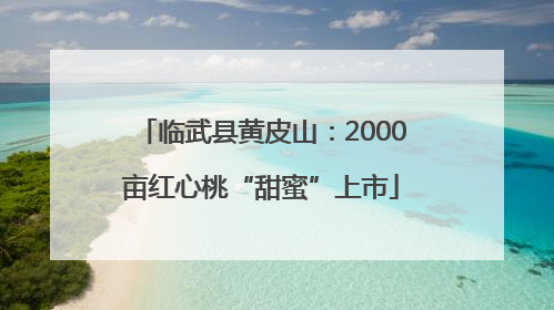 临武县黄皮山：2000亩红心桃“甜蜜”上市