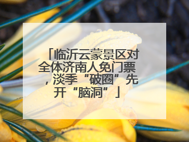临沂云蒙景区对全体济南人免门票，淡季“破圈”先开“脑洞”
