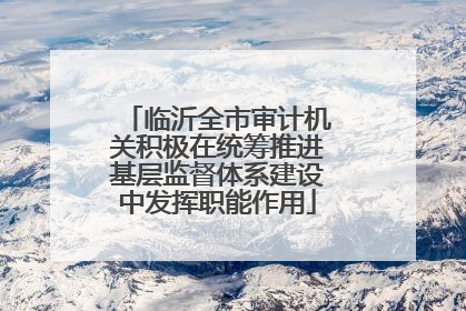 临沂全市审计机关积极在统筹推进基层监督体系建设中发挥职能作用