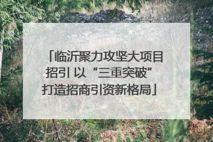 临沂聚力攻坚大项目招引 以“三重突破”打造招商引资新格局