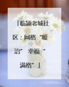 临颍老城社区：网格“暖治” 幸福“满格”