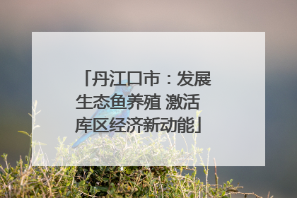 丹江口市：发展生态鱼养殖 激活库区经济新动能