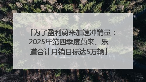 为了盈利蔚来加速冲销量：2025年第四季度蔚来、乐道合计月销目标达5万辆