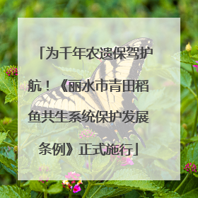 为千年农遗保驾护航！《丽水市青田稻鱼共生系统保护发展条例》正式施行