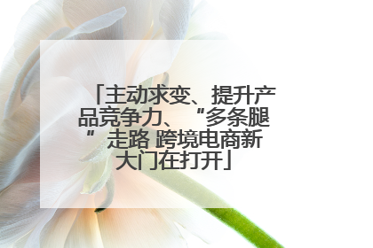 主动求变、提升产品竞争力、“多条腿”走路 跨境电商新大门在打开