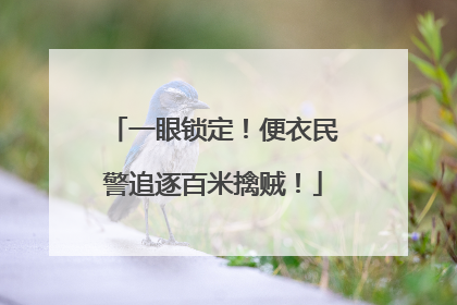 一眼锁定！便衣民警追逐百米擒贼！