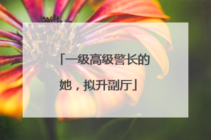 一级高级警长的她，拟升副厅