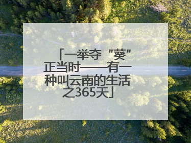 一举夺“葵”正当时——有一种叫云南的生活之365天