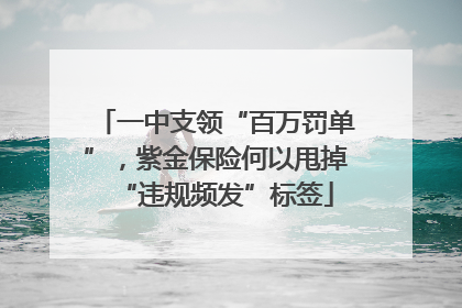 一中支领“百万罚单”，紫金保险何以甩掉“违规频发”标签
