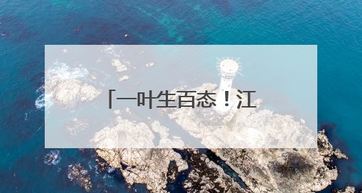 一叶生百态！江川棕编非遗里的“动物世界”