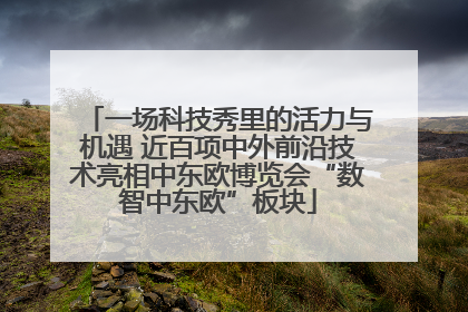 一场科技秀里的活力与机遇 近百项中外前沿技术亮相中东欧博览会“数智中东欧”板块