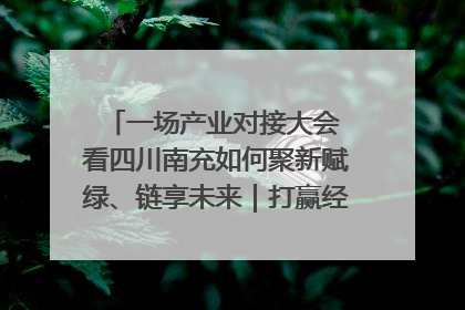 一场产业对接大会 看四川南充如何聚新赋绿、链享未来｜打赢经济发展翻身仗