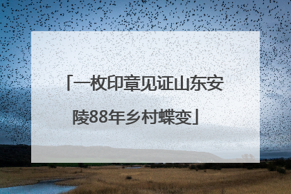 一枚印章见证山东安陵88年乡村蝶变