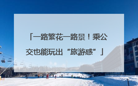 一路繁花一路景！乘公交也能玩出“旅游感”