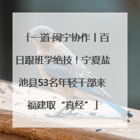 一道·闽宁协作丨百日跟班学绝技！宁夏盐池县53名年轻干部来福建取“真经”