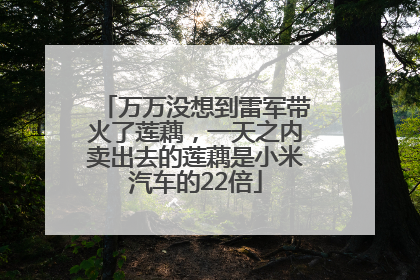 万万没想到雷军带火了莲藕，一天之内卖出去的莲藕是小米汽车的22倍
