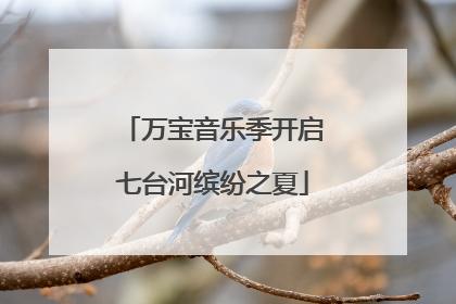 万宝音乐季开启七台河缤纷之夏