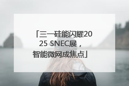 三一硅能闪耀2025 SNEC展，智能微网成焦点