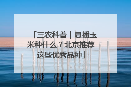 三农科普｜夏播玉米种什么？北京推荐这些优秀品种