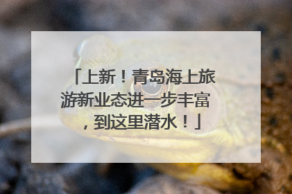 上新！青岛海上旅游新业态进一步丰富，到这里潜水！