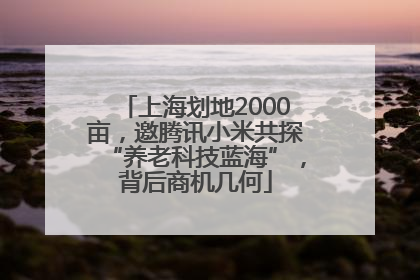 上海划地2000亩，邀腾讯小米共探“养老科技蓝海”，背后商机几何