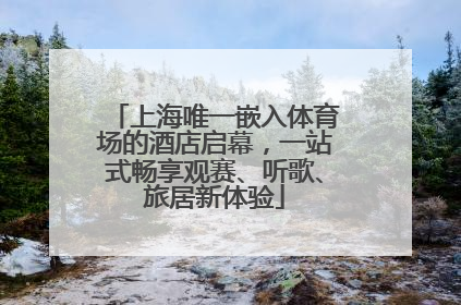 上海唯一嵌入体育场的酒店启幕，一站式畅享观赛、听歌、旅居新体验