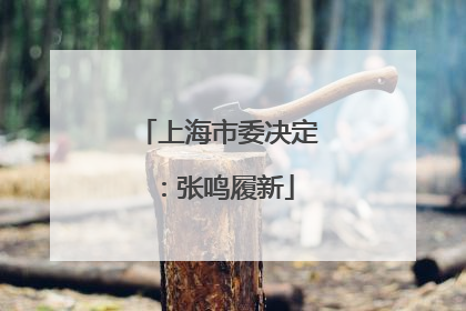 上海市委决定：张鸣履新