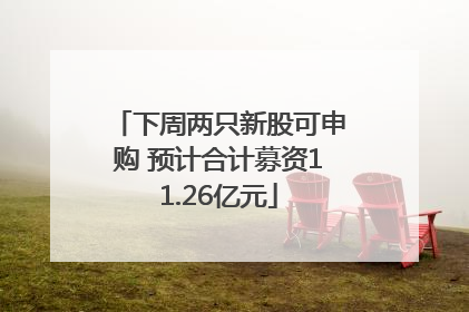 下周两只新股可申购 预计合计募资11.26亿元