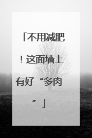 不用减肥！这面墙上有好“多肉”