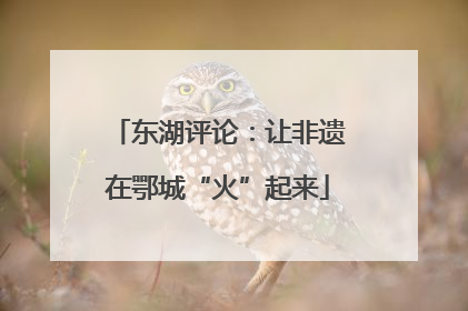 东湖评论：让非遗在鄂城“火”起来