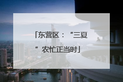 东营区：“三夏”农忙正当时
