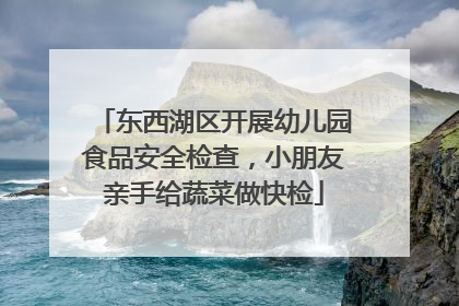 东西湖区开展幼儿园食品安全检查，小朋友亲手给蔬菜做快检