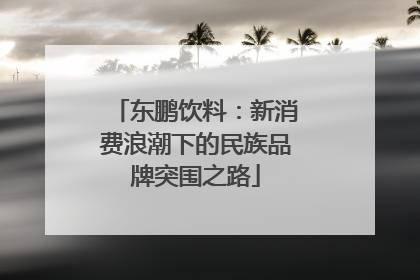 东鹏饮料：新消费浪潮下的民族品牌突围之路