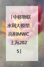 中移物联水利大模型亮相MWC上海2025
