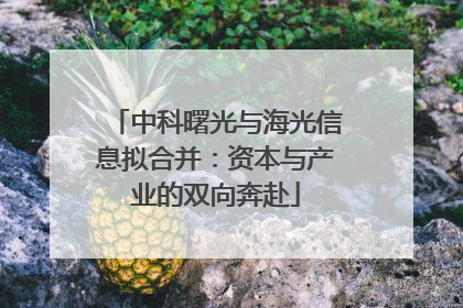中科曙光与海光信息拟合并：资本与产业的双向奔赴