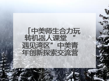 中美师生合力玩转机器人课堂 “遇见湾区”中美青年创新探索交流营在深圳开营