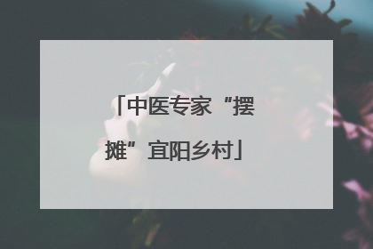 中医专家“摆摊”宜阳乡村