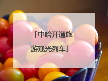 中哈开通旅游观光列车