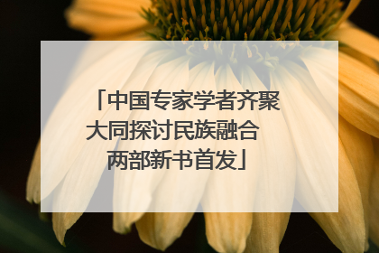 中国专家学者齐聚大同探讨民族融合 两部新书首发